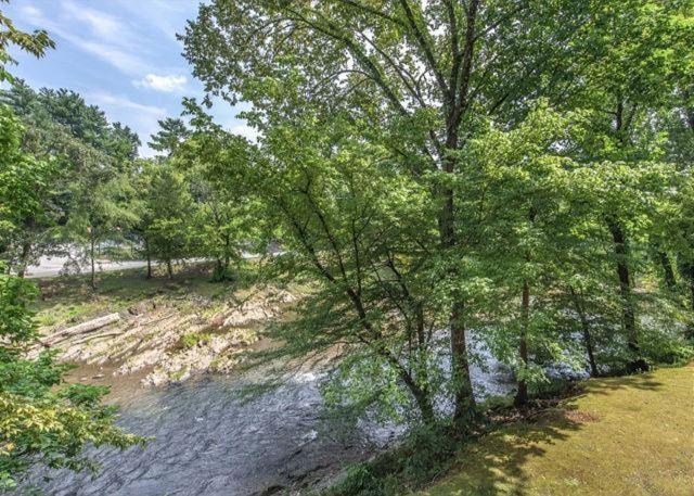 Cl 204 River Mist Pigeon Forge Ngoại thất bức ảnh